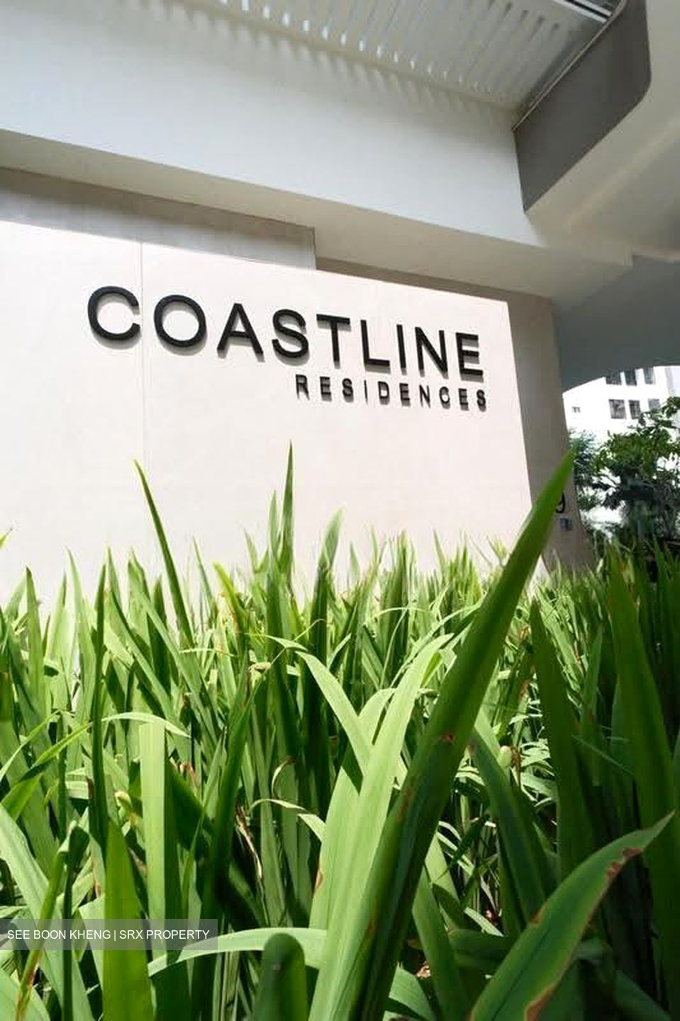 Coastline Residences (D15), Apartment #607391391